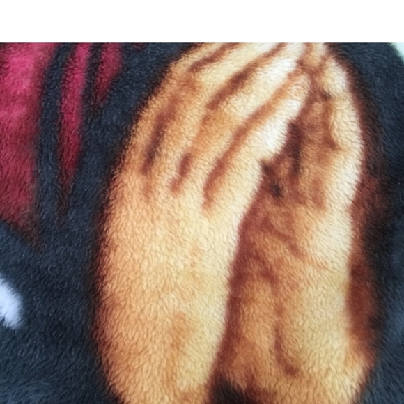 Lady of QuadrupleBlessed Virgin Mary50" x 60"Northwest HeartlandPlush Throw - Picture 6 of 7